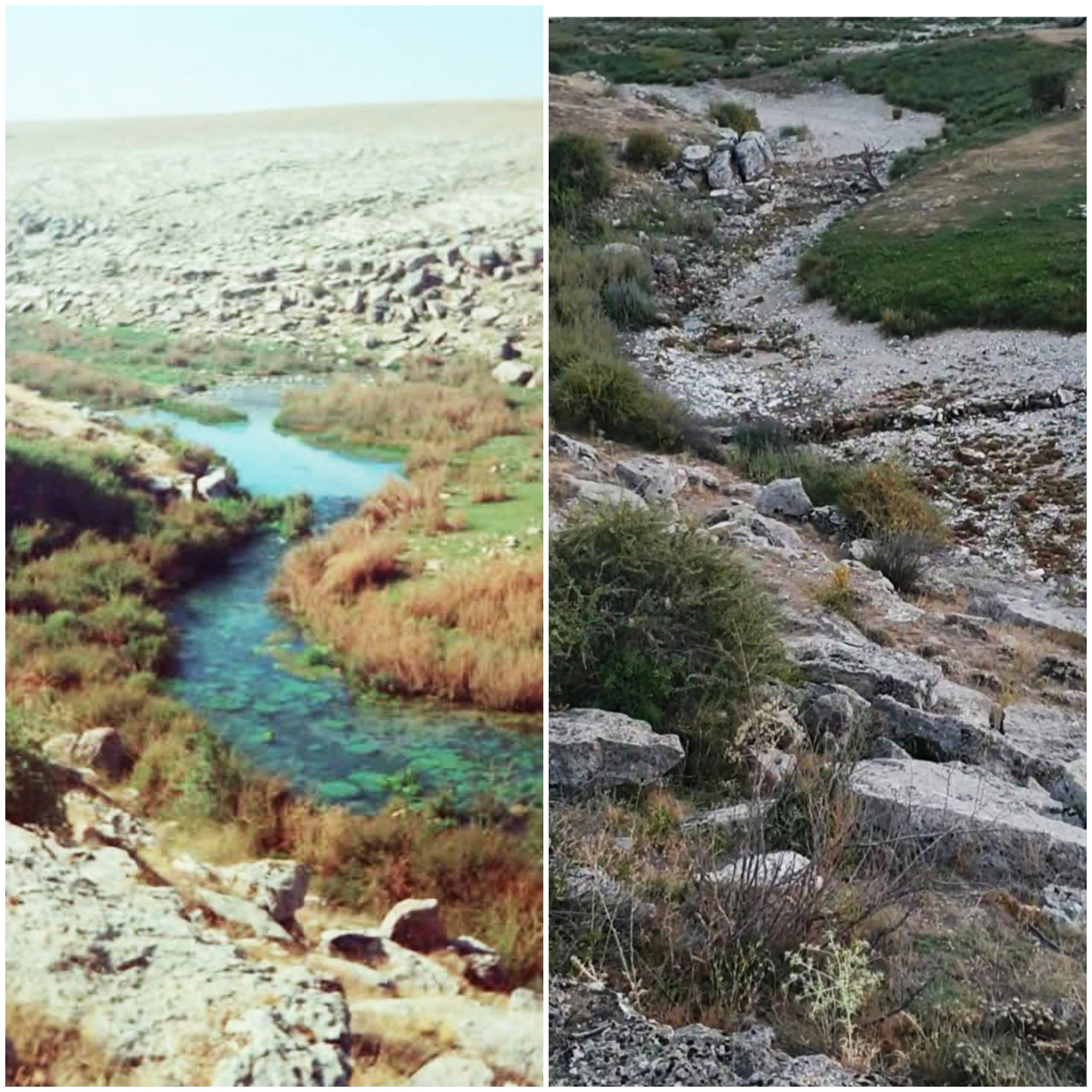 Zamantı için imza kampanyası başlatıldı
