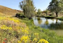 Zamantı sadece bir ırmak mı? – 6