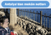 Antalya’dan mekân notları – 1. Bölüm