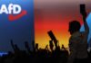 Analiz: AfD mutabakat sistemini tehdit ediyor